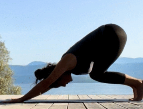From Student to Disciple: My Story of Becoming a Yoga Teacher